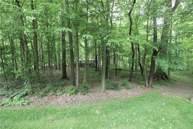 6191 Root Rd, Spencer, OH 44275 - view of tree filled area