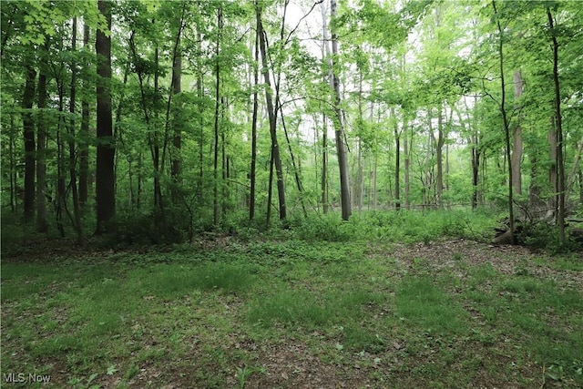 6191 Root Rd, Spencer, OH 44275 - view of wooded area