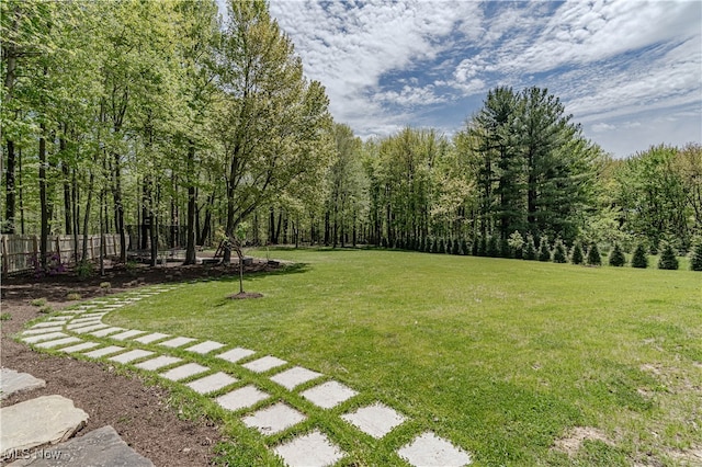 2471 Snowberry Ln, Pepper Pike, OH 44124 - view of yard featuring a forest view