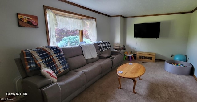 61426 Stillmeadow Ln, New Concord, OH 43762 - carpeted living area with crown molding