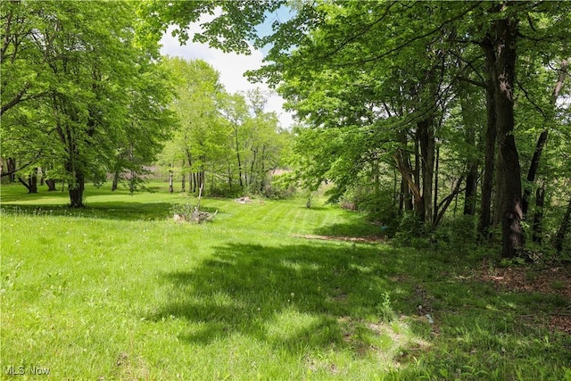 4217 State Route 82, Mantua, OH 44255 - view of yard