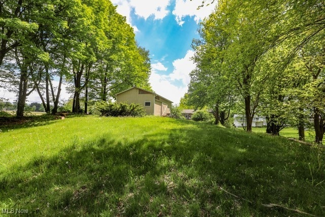 4217 State Route 82, Mantua, OH 44255 - view of yard