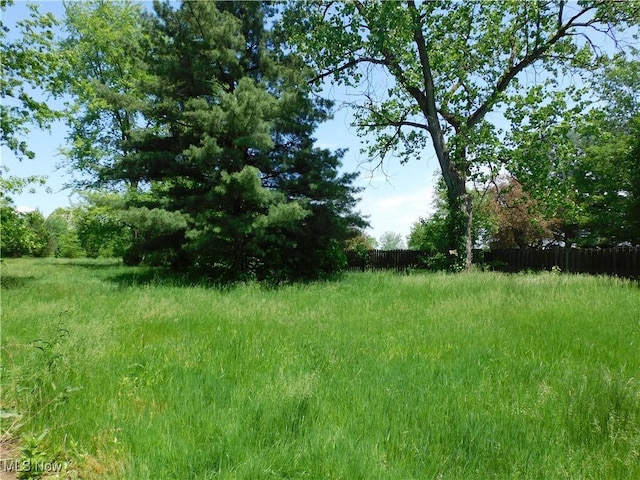 view of nature