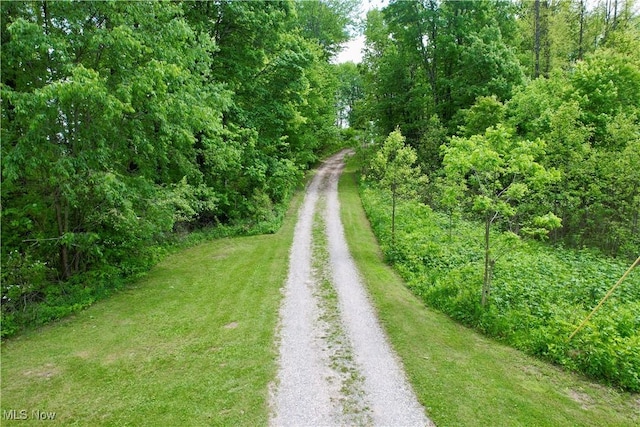 9400 Chalon Rd, Scio, OH 43988 - view of dirt / gravel road featuring a wooded view