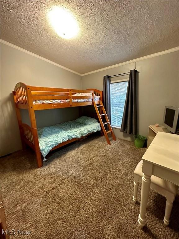 9400 Chalon Rd, Scio, OH 43988 - bedroom featuring crown molding, carpet, and a textured ceiling