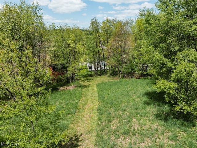 3153 SW Boltz Orchard Rd, Sugarcreek, OH 44681 - view of green lawn with a forest view