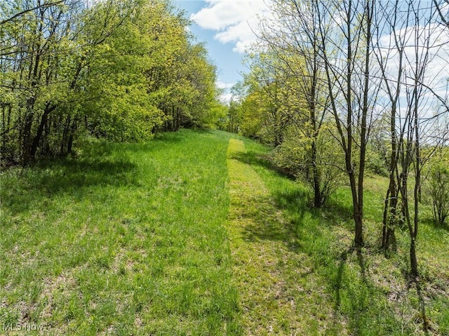 3153 SW Boltz Orchard Rd, Sugarcreek, OH 44681 - view of yard