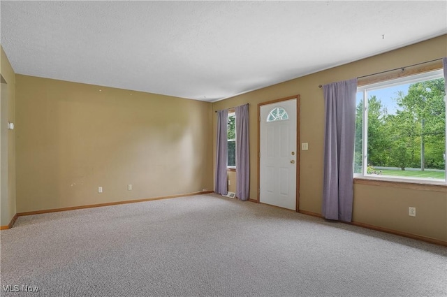 12395 Carter Rd, Concord, OH 44077 - entryway with plenty of natural light, light colored carpet, and baseboards