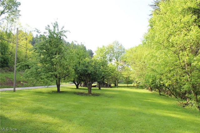 3575 State Route 60, Killbuck, OH 44637