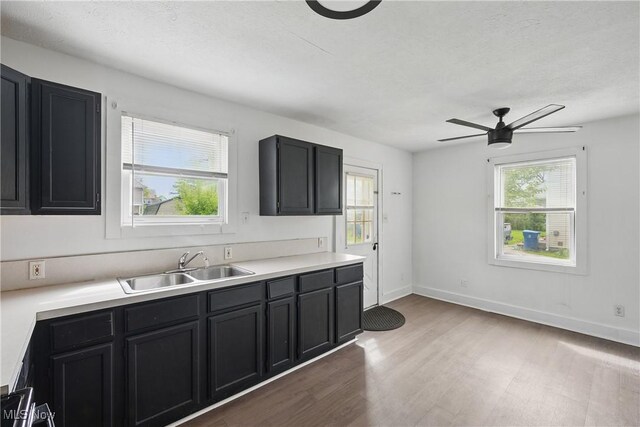 423 Kansas Ave, Lorain, OH 44052 - kitchen with a sink, dark cabinetry, and a ceiling fan