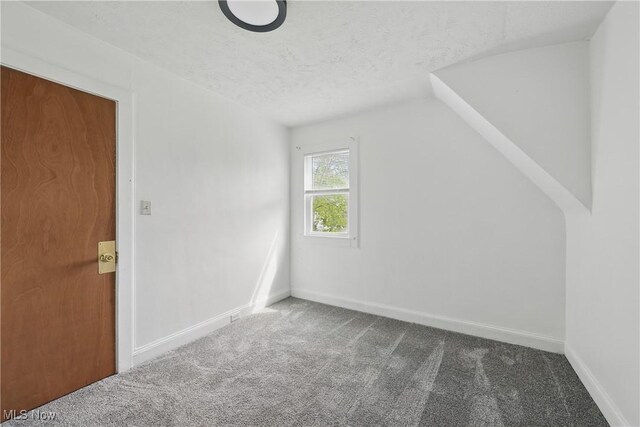 423 Kansas Ave, Lorain, OH 44052 - bonus room featuring carpet, baseboards, a textured ceiling, and lofted ceiling