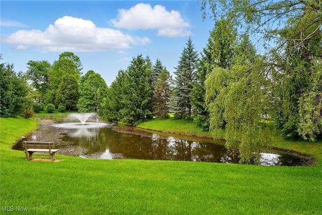 6868 Twin Oaks Ct, Canfield, OH 44406 - water view
