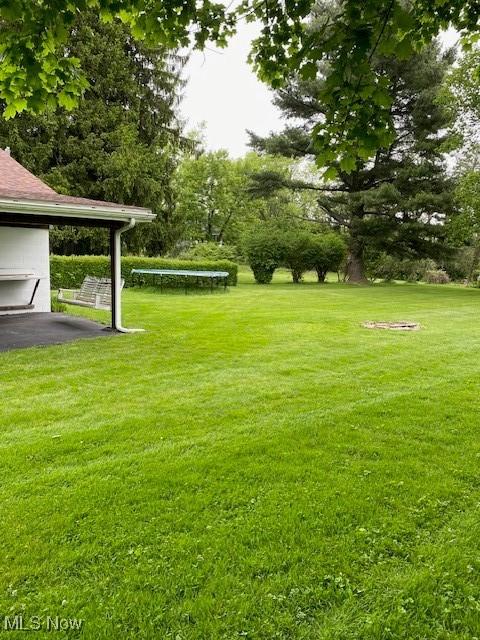 1912 Lisbon St, East Liverpool, OH 43920 - view of green lawn with a trampoline