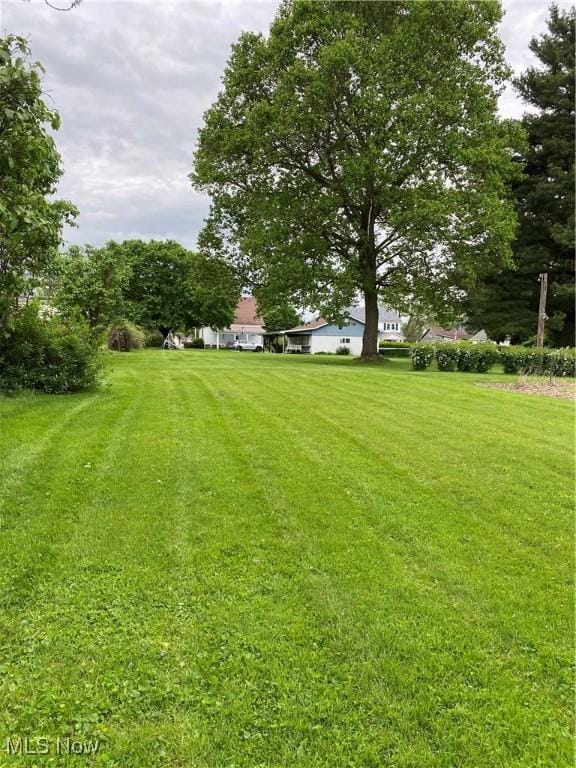 1912 Lisbon St, East Liverpool, OH 43920 - view of green lawn