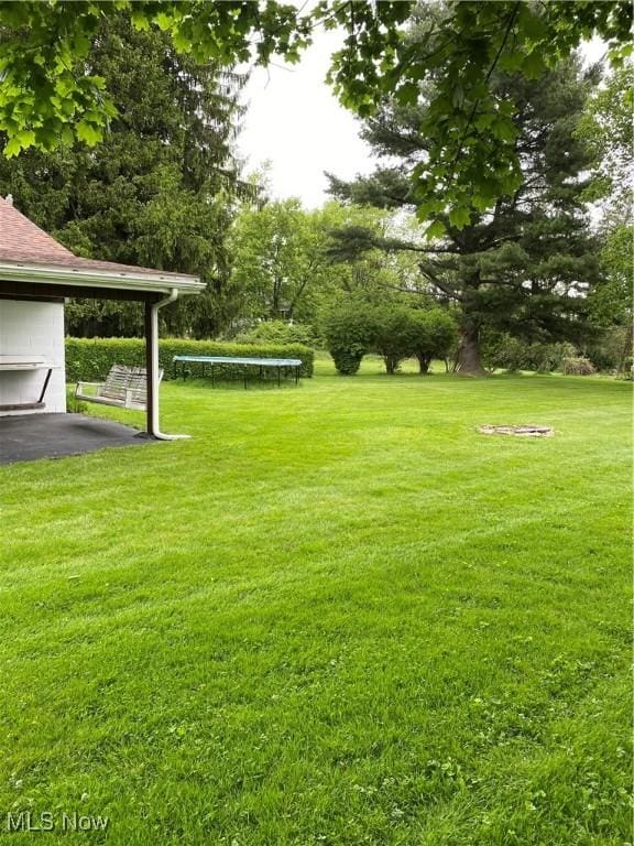 1912 Lisbon St, East Liverpool, OH 43920 - view of green lawn featuring a trampoline and view of wooded area