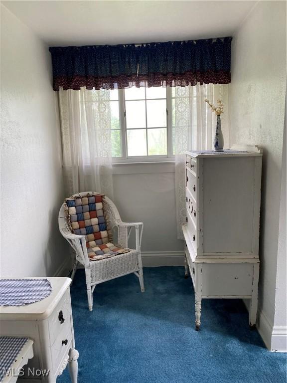 1912 Lisbon St, East Liverpool, OH 43920 - sitting room featuring carpet flooring and baseboards