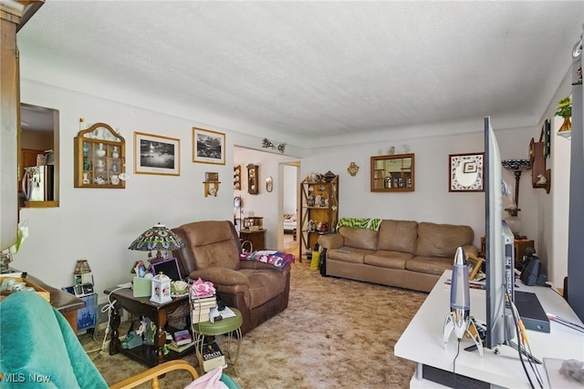 living area featuring a textured ceiling and carpet floors