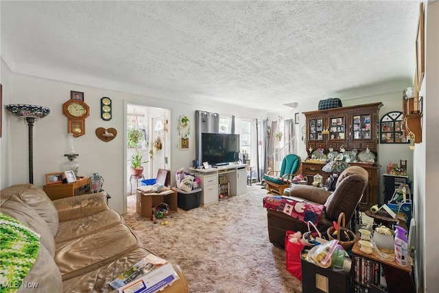 carpeted living room featuring a textured ceiling