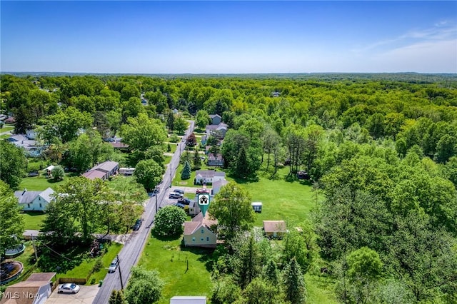 bird's eye view of a forest
