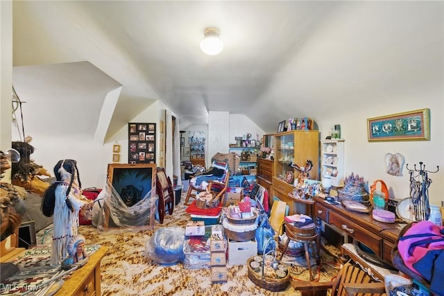 misc room featuring vaulted ceiling