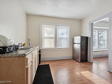 kitchen with freestanding refrigerator, plenty of natural light, a sink, and light wood finished floors