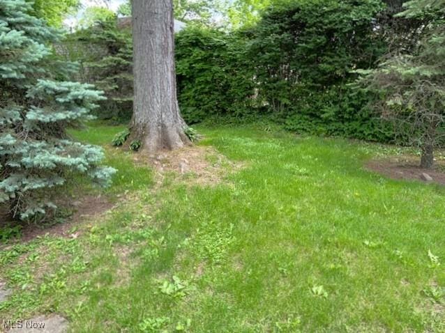 186 Maple Dr, Boardman, OH 44512 - photo 21