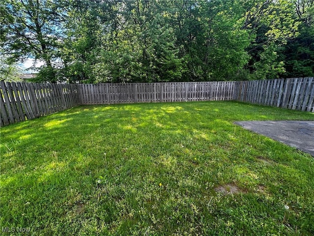 100 Chadwick Ln, Austintown, OH 44515 - view of yard