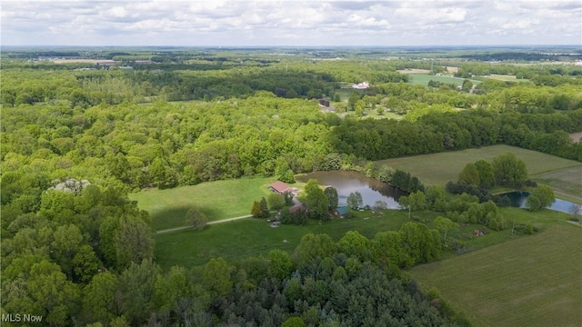 bird's eye view of a large body of water and a forest