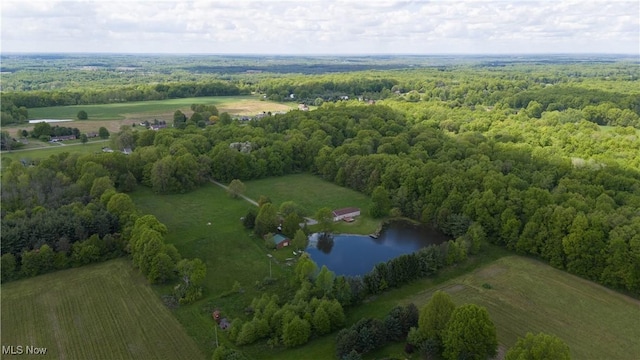 aerial view of sparsely populated area featuring a nearby body of water and a heavily wooded area