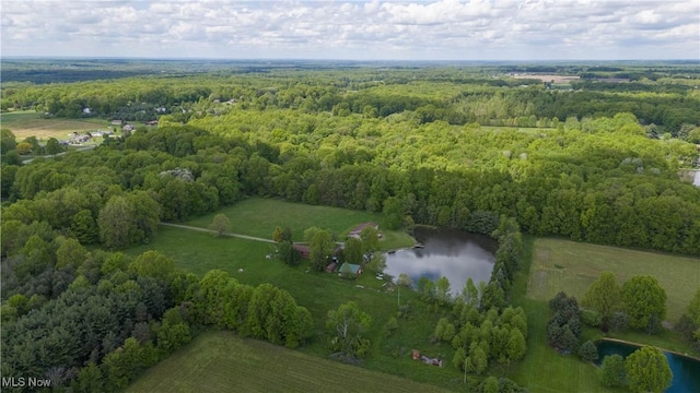 overview of rural landscape featuring a large body of water and a heavily wooded area