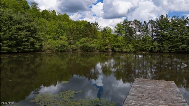 dock with a forest view and a water view