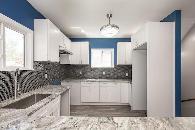 2205 W 85th St, Cleveland, OH 44102 - kitchen featuring light stone countertops, a sink, healthy amount of natural light, and tasteful backsplash