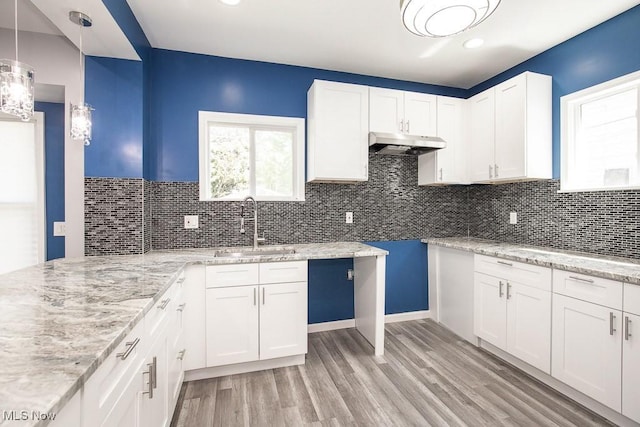 2205 W 85th St, Cleveland, OH 44102 - kitchen featuring a sink, under cabinet range hood, light stone counters, light wood-style floors, and white cabinets