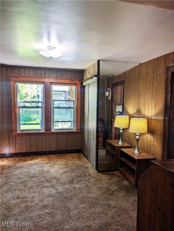 interior space featuring wood walls, carpet floors, and a closet