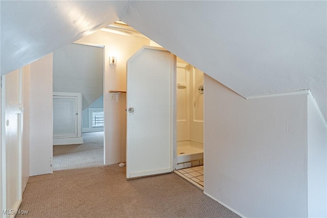 124 Beck Ave, Akron, OH 44302 - bonus room with carpet floors, vaulted ceiling, and baseboards