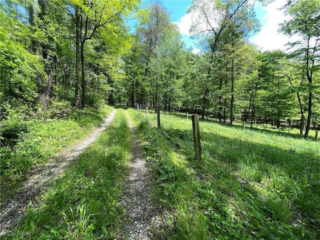 12929 Pleasant Valley Rd, Utica, OH 43080