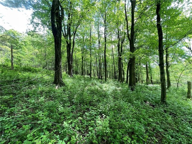 12929 Pleasant Valley Rd, Utica, OH 43080