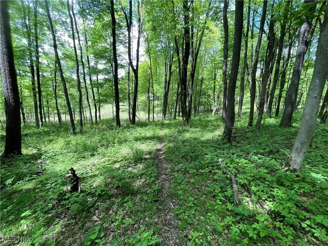 12929 Pleasant Valley Rd, Utica, OH 43080