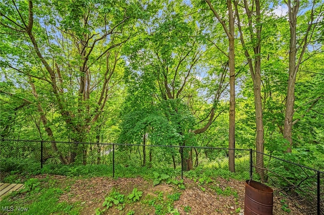 579 Main St, Conneaut, OH 44030 - view of yard