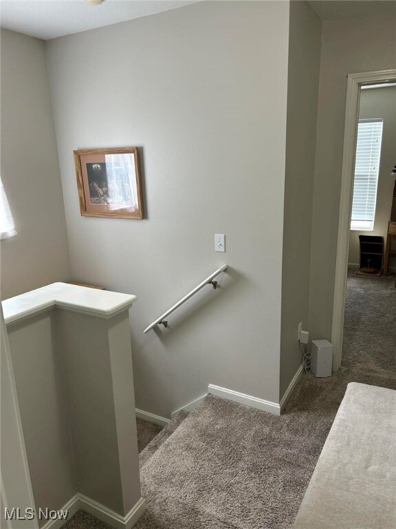 180 Elizabeth Pkwy, Akron, OH 44304 - staircase featuring carpet and baseboards