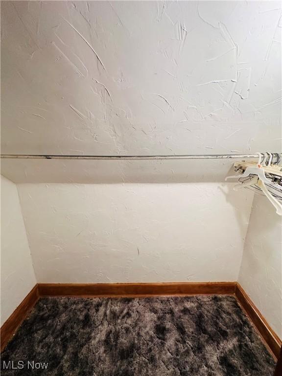 spacious closet featuring carpet floors