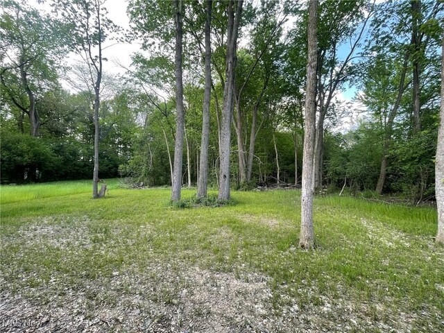 246 W Hamilton St, Oberlin, OH 44074 - view of yard