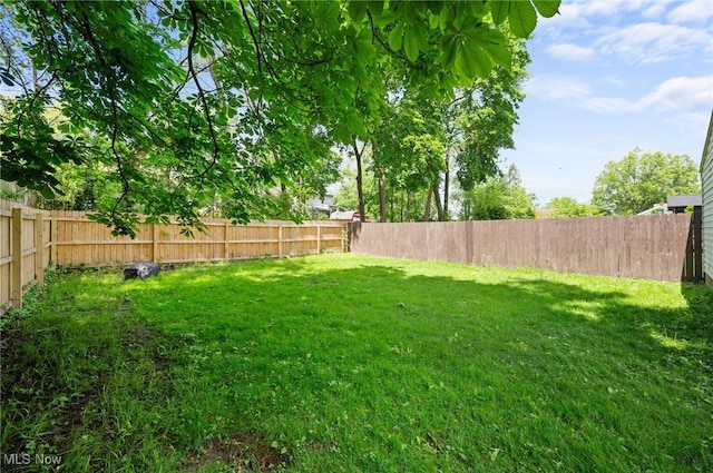 view of yard