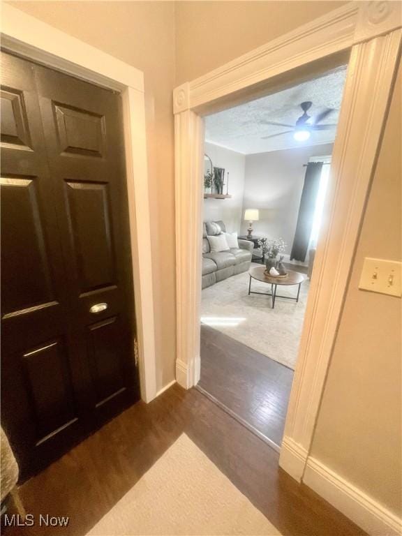 1726 Covert St, Parkersburg, WV 26101 - hall with dark wood finished floors and baseboards