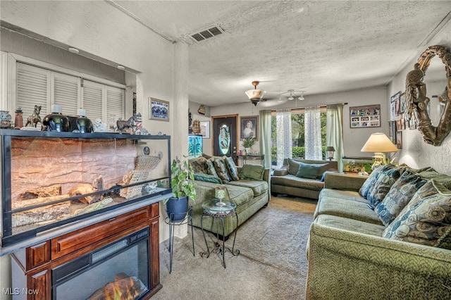 2212 Randall St, Lorain, OH 44052 - carpeted living area with a textured ceiling and a glass covered fireplace