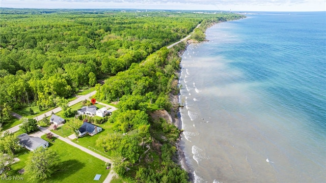 7214 Ridge Ave, Conneaut, OH 44030 - view of property location featuring a forest and a nearby body of water