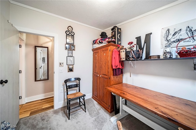 7214 Ridge Ave, Conneaut, OH 44030 - mudroom featuring ornamental molding, a textured ceiling, baseboards, and light colored carpet