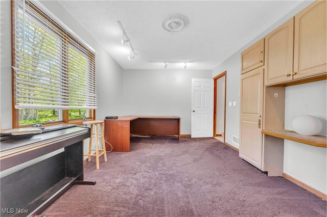 2736 Green Rd, Shaker Heights, OH 44122 - unfurnished office with carpet flooring, track lighting, and baseboards