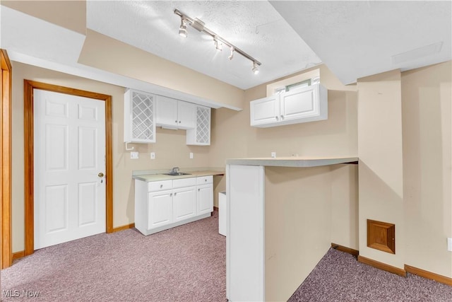2736 Green Rd, Shaker Heights, OH 44122 - finished basement with light carpet, rail lighting, baseboards, a textured ceiling, and a sink