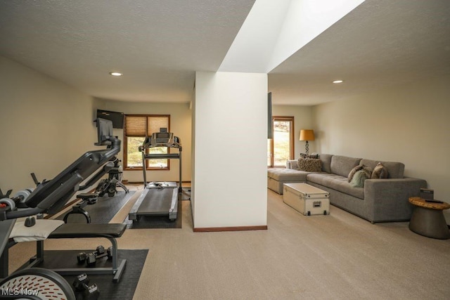 1367 Mockingbird Dr, Kent, OH 44240 - exercise room featuring carpet floors, recessed lighting, and a textured ceiling